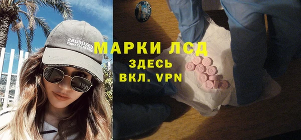 сатива Армянск